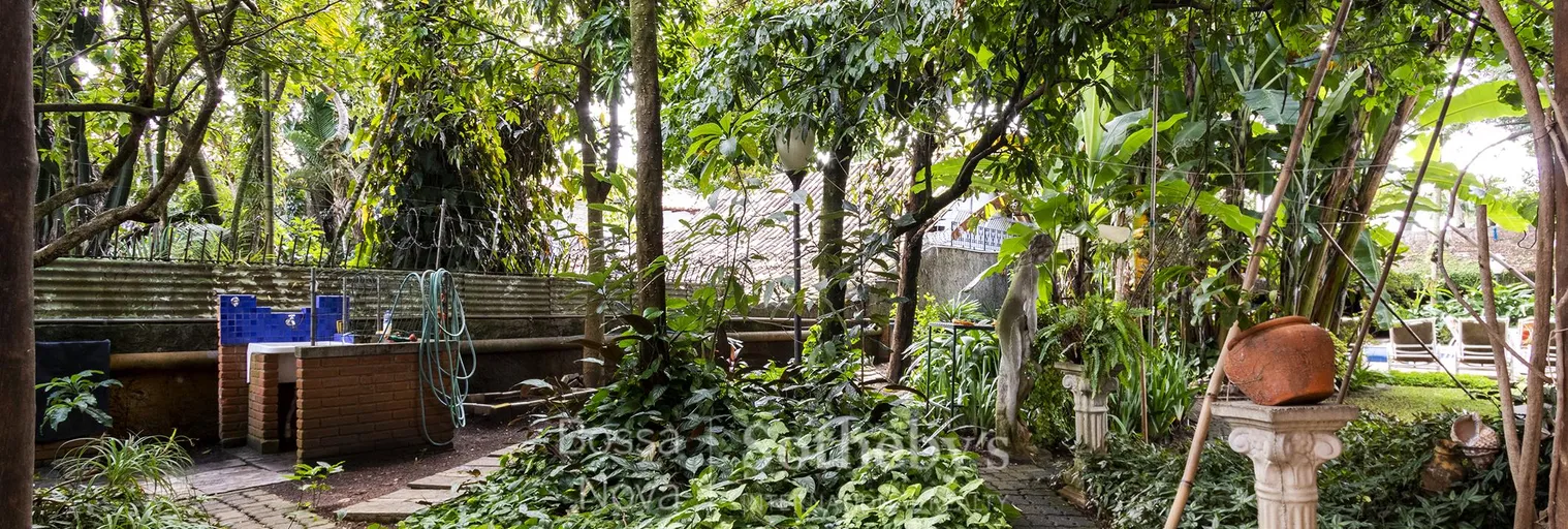 Jardim - Imagem 5
