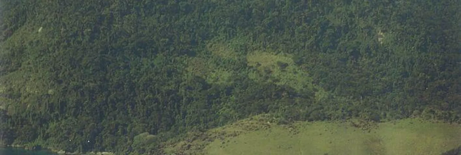 Vista - Imagem 3