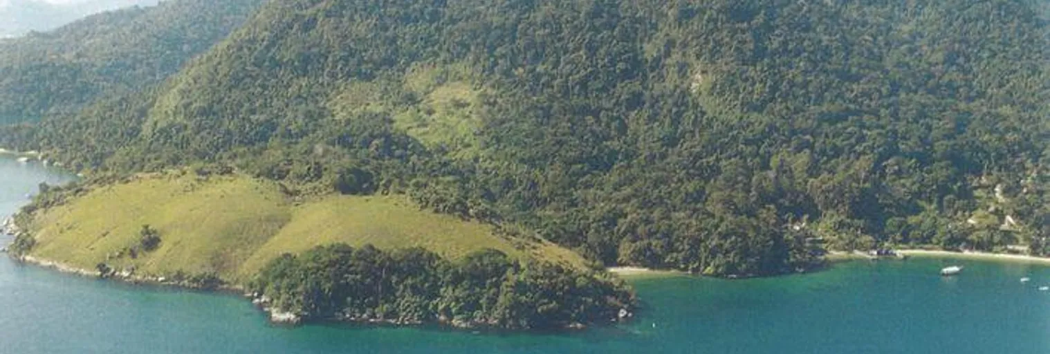 Vista - Imagem 5