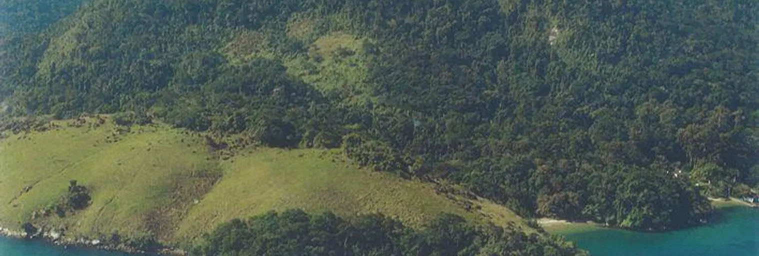 Vista - Imagem 1