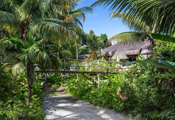 56_IMG_8695 - Imagem 59