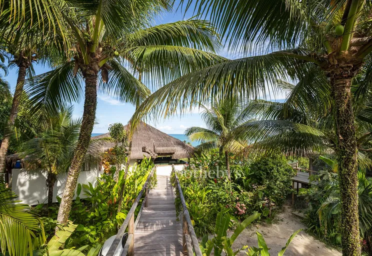 39_IMG_8625 - Imagem 40