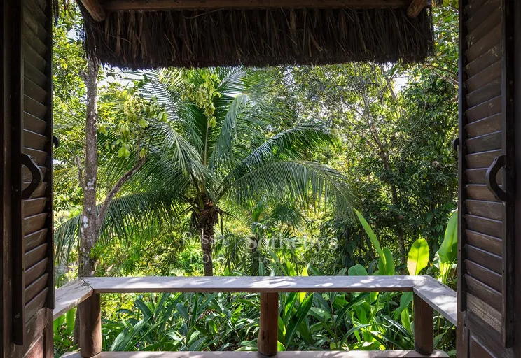 54_IMG_8777 - Imagem 57