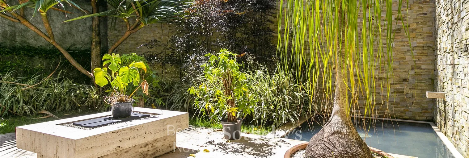 Jardim - Imagem 6