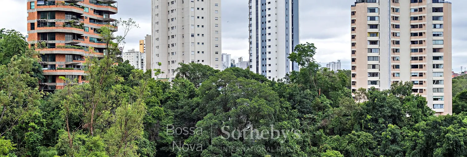 Vista - Imagem 41