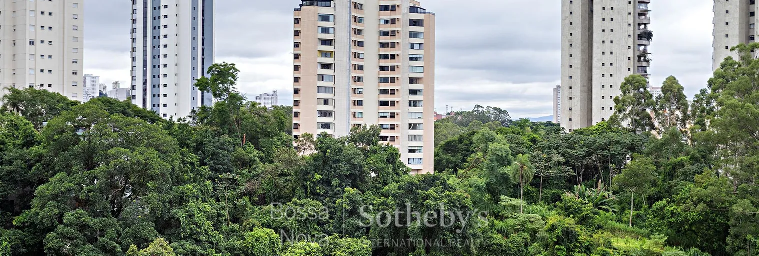 Vista - Imagem 42