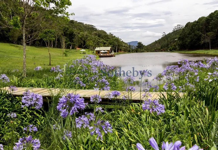 Jardim - Imagem 35