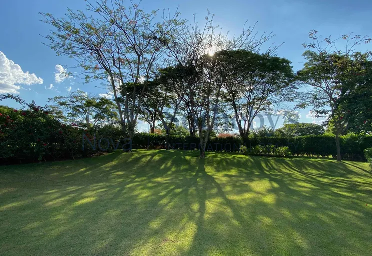 Jardim - Imagem 22