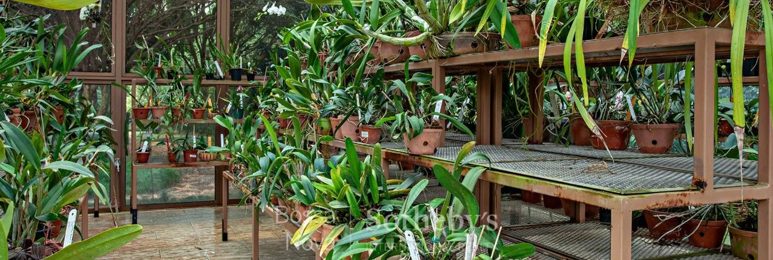 Jardim - Imagem 36