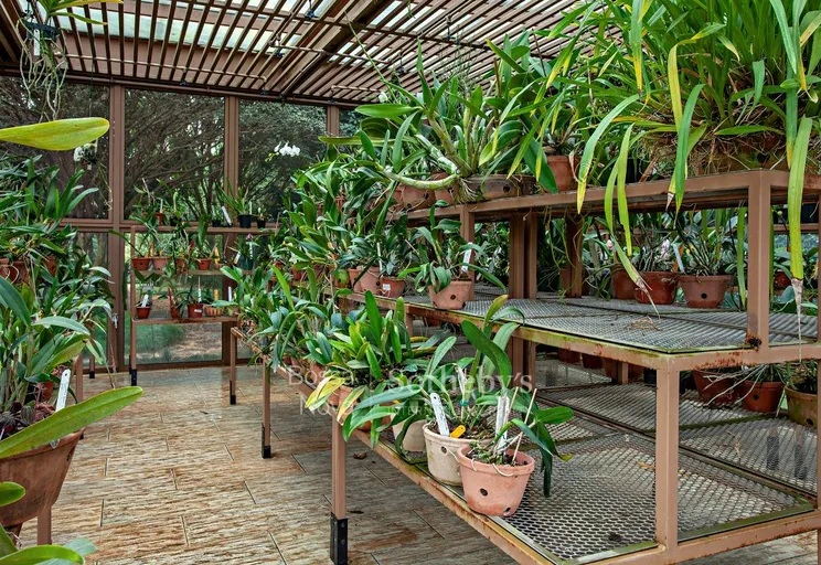 Jardim - Imagem 36