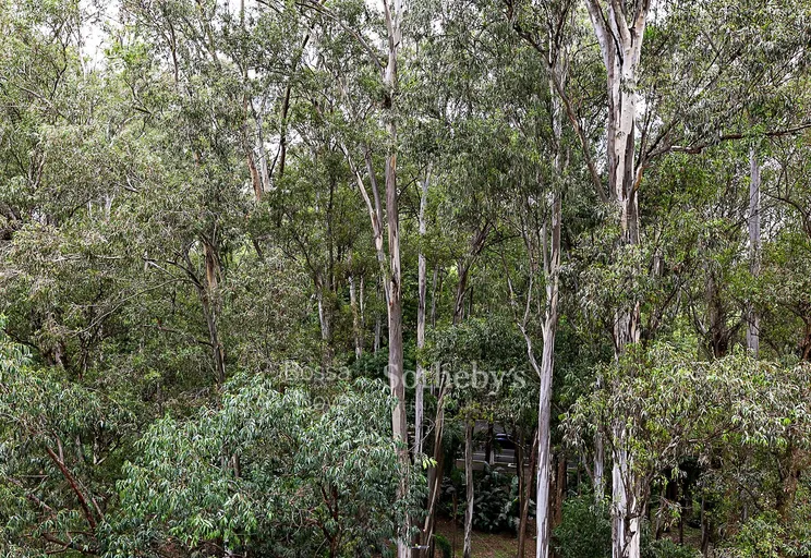 Vista - Imagem 5