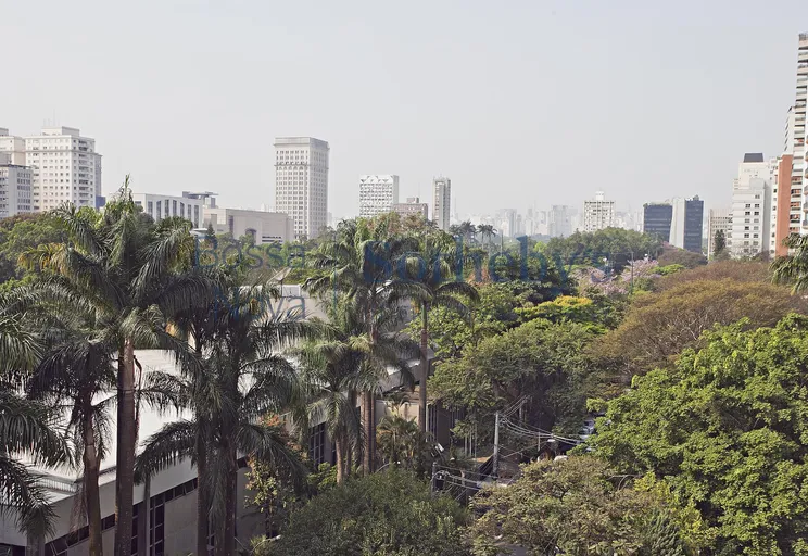 Vista - Imagem 2