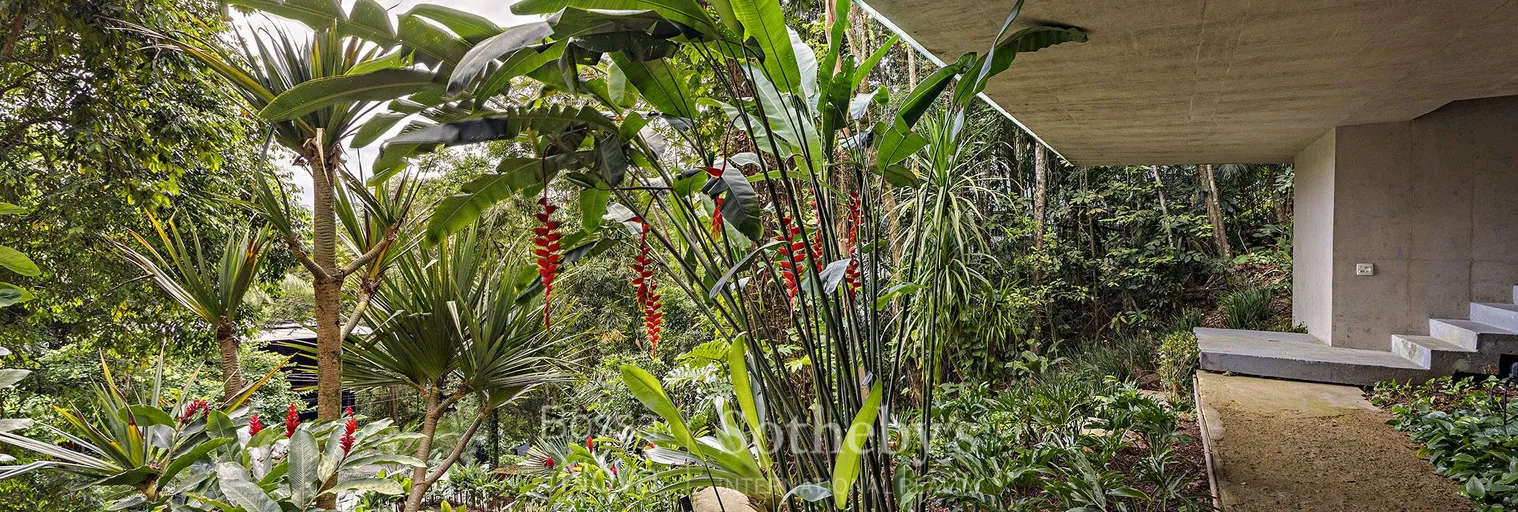 Jardim - Imagem 64