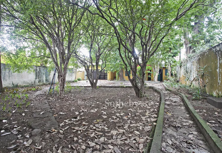 Área Externa - Imagem 1