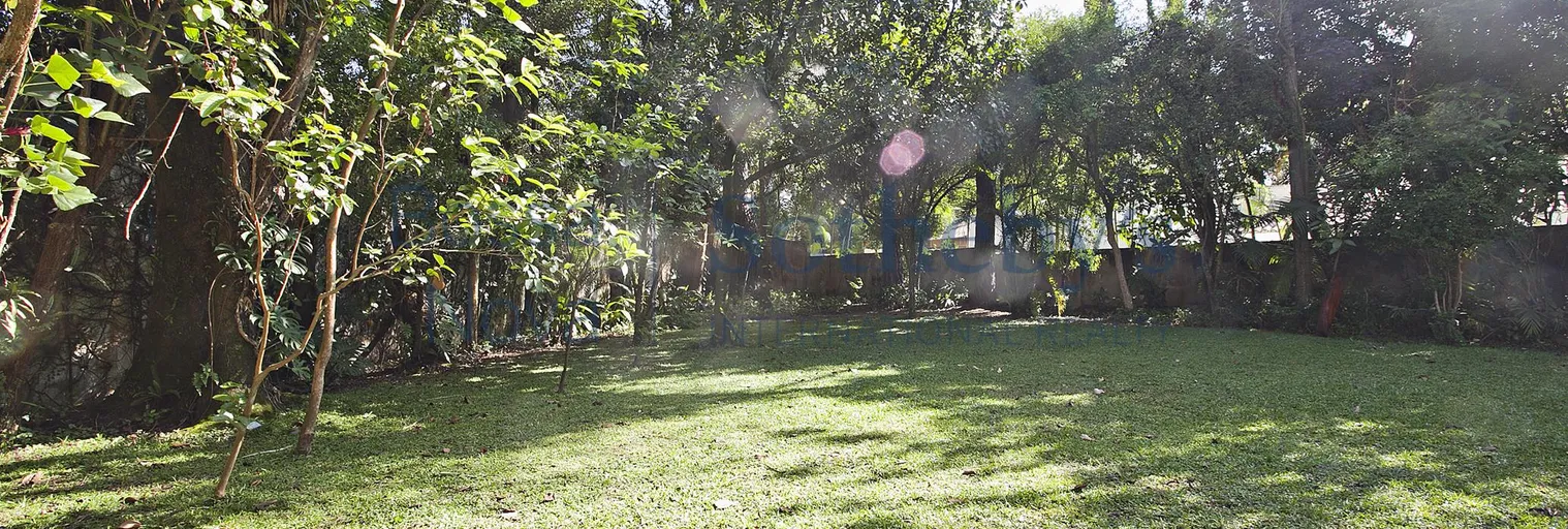 Jardim - Imagem 7