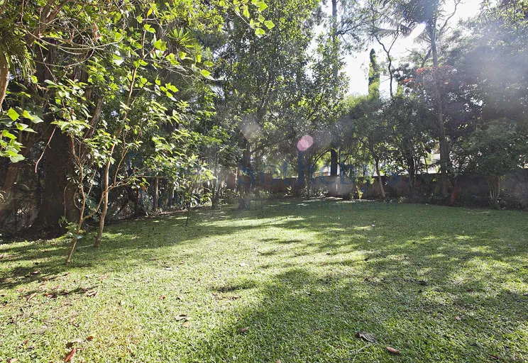 Jardim - Imagem 7