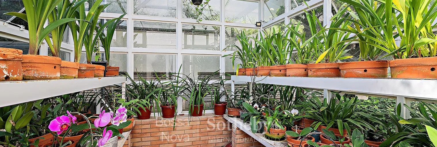 Jardim - Imagem 33