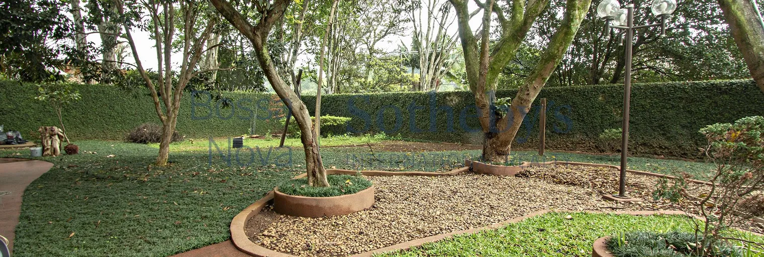 Jardim - Imagem 17