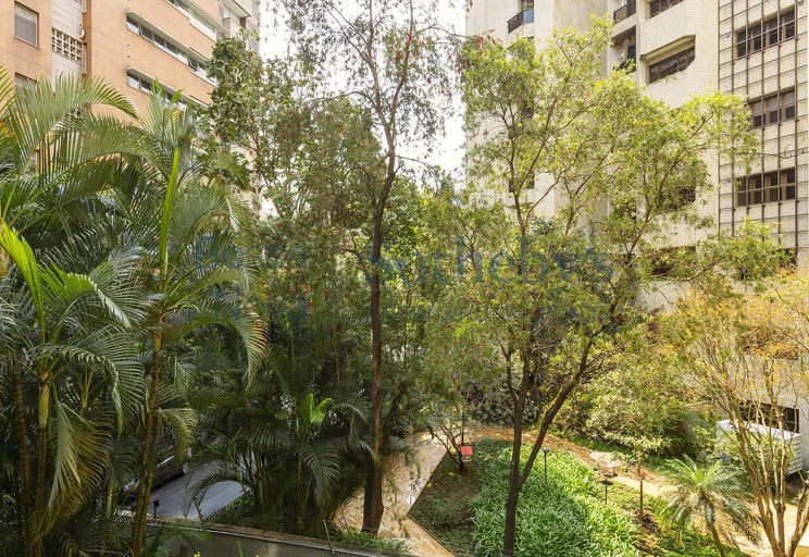 _MG_4866 - Imagem 15