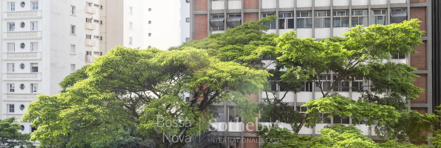 Vista - Imagem 3