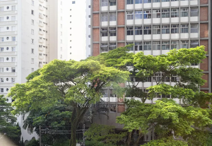 Vista - Imagem 3