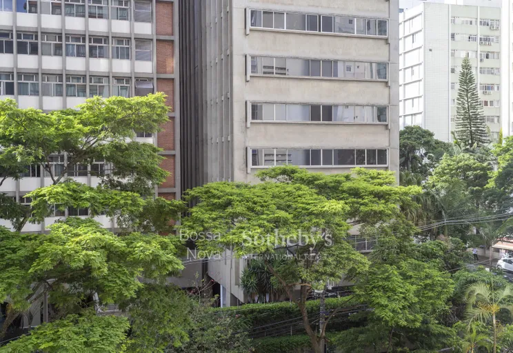 Vista - Imagem 7
