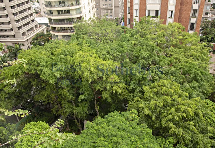 Vista Panorâmica - Imagem 18