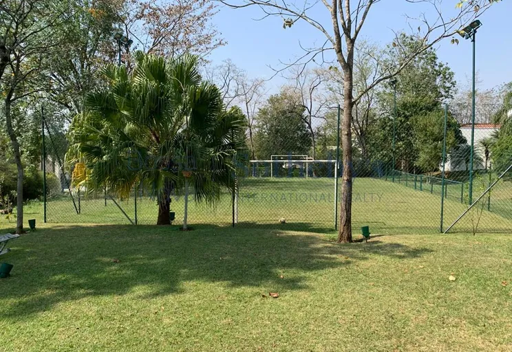 Campo de Futebol - Imagem 45