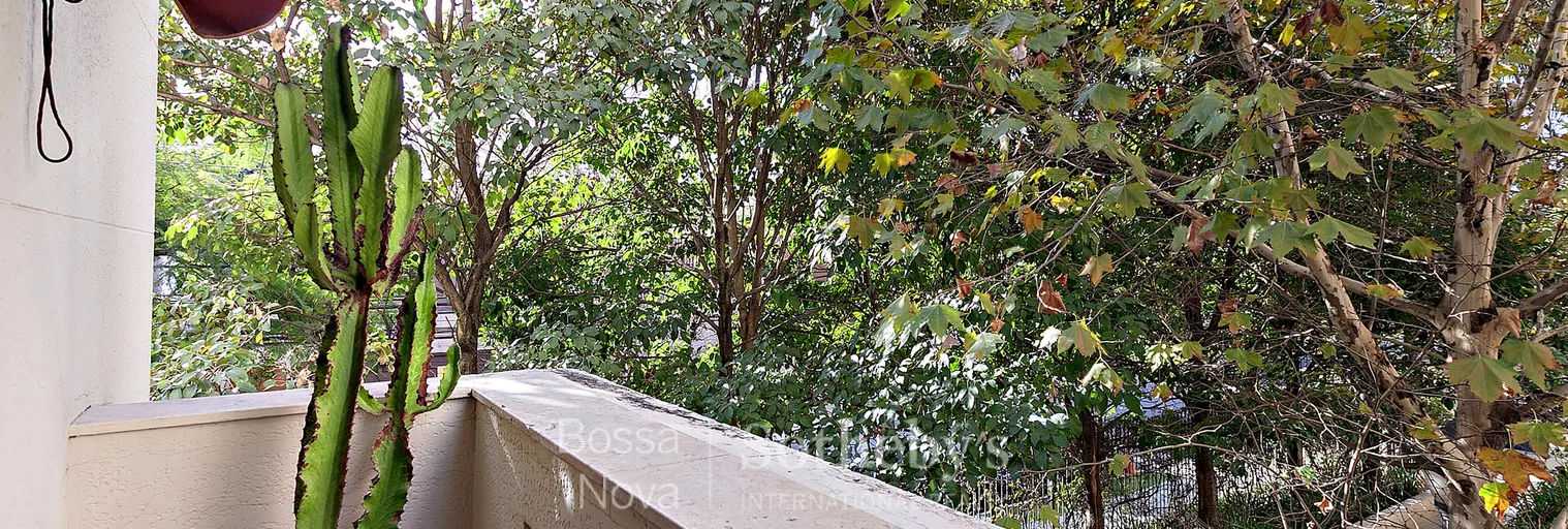 Vista - Imagem 2
