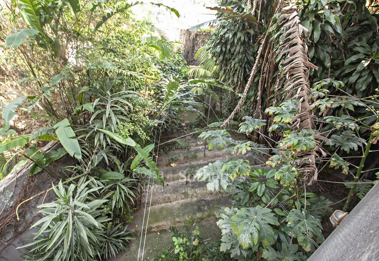 Quintal - Imagem 26