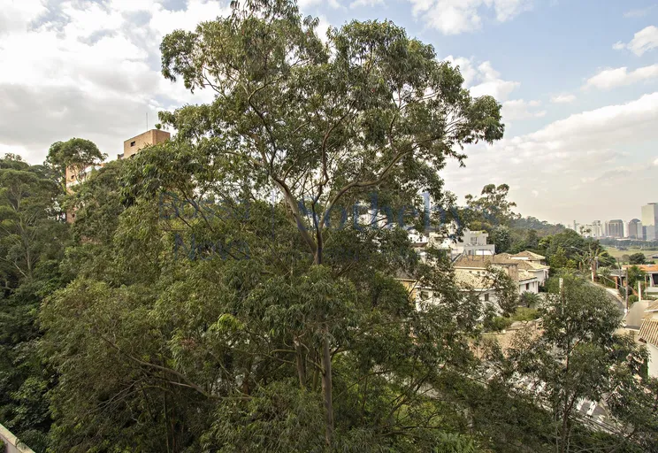 Vista Panorâmica - Imagem 13