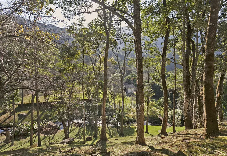 Jardim - Imagem 53