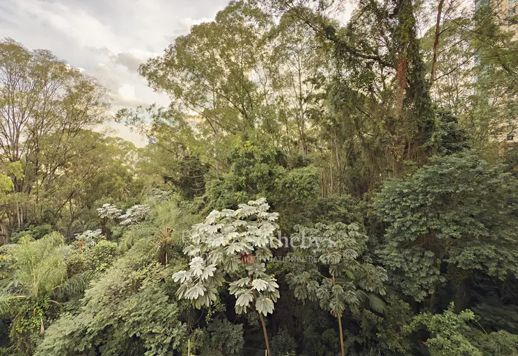 Vista - Imagem 18