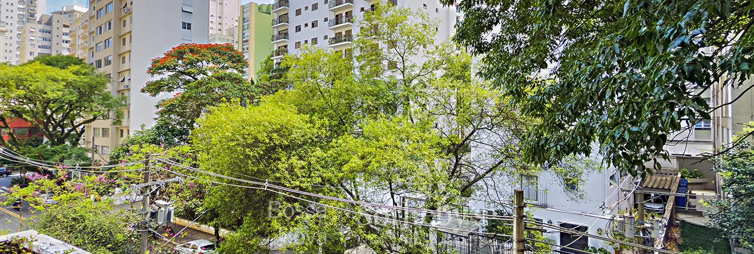Vista - Imagem 29