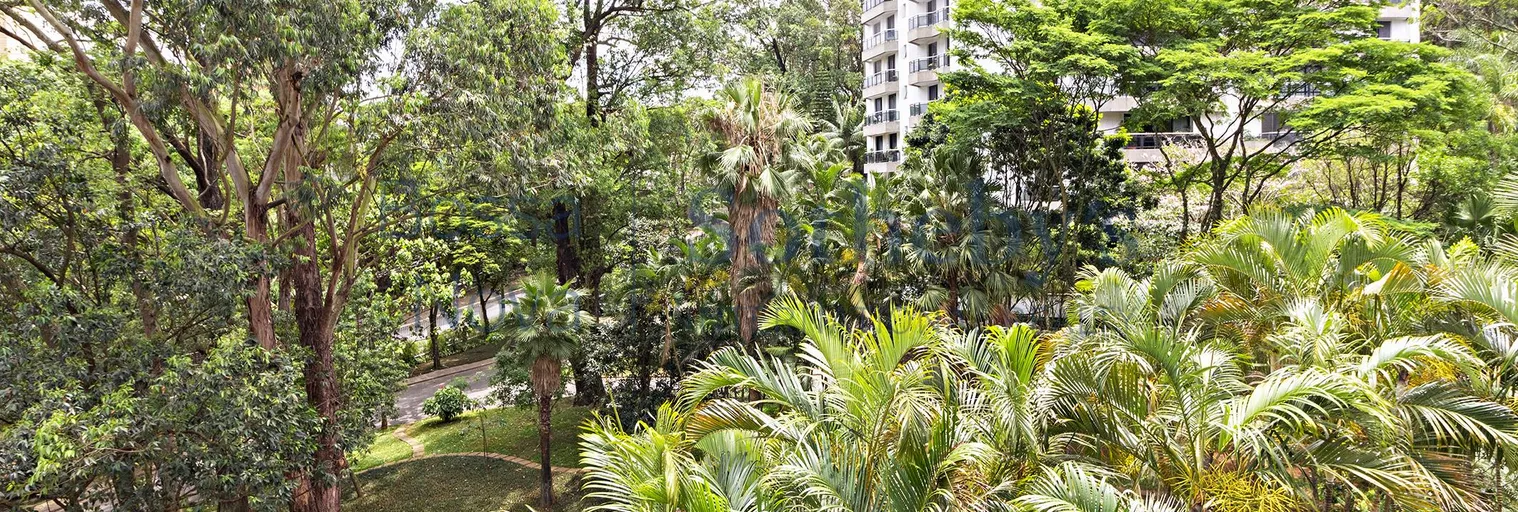 Vista - Imagem 4
