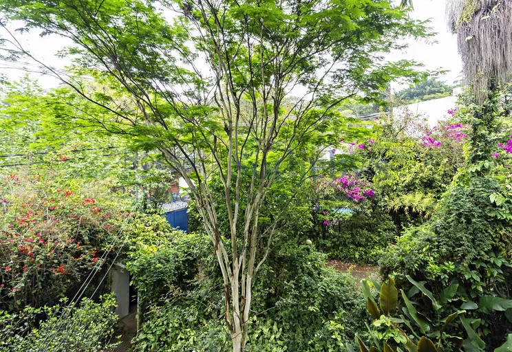 Jardim - Imagem 14