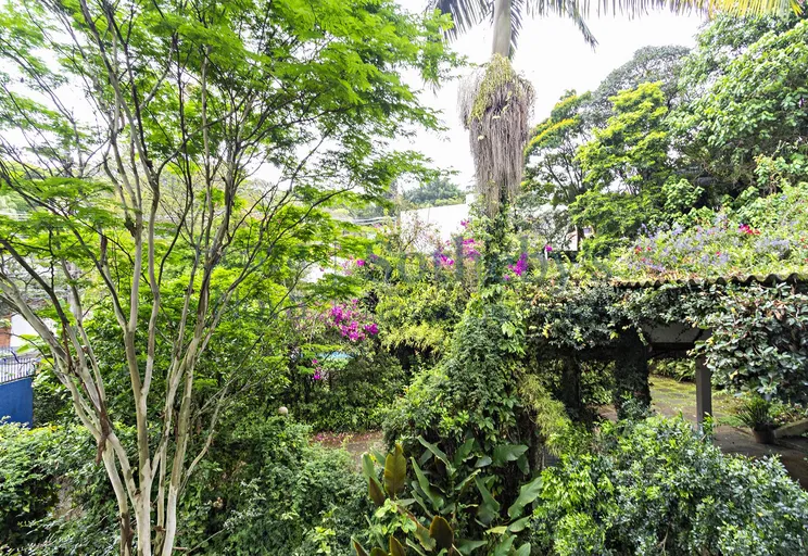 Jardim - Imagem 16
