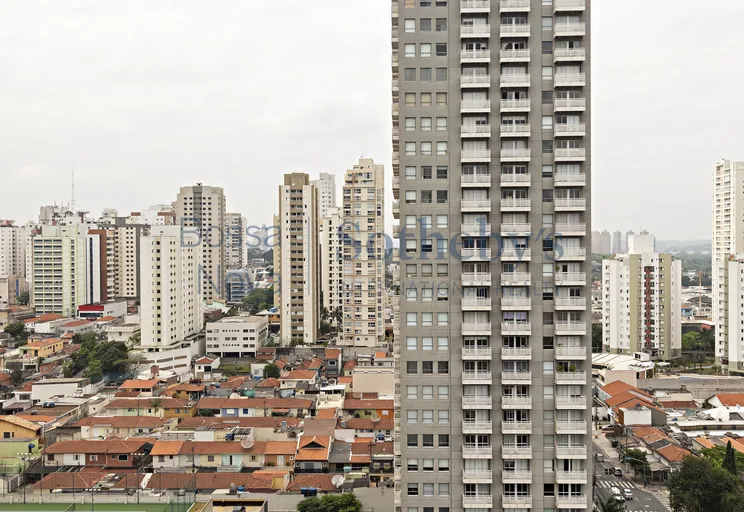 Vista - Imagem 19