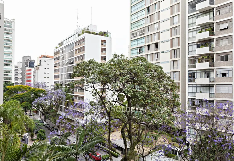 Vista - Imagem 21