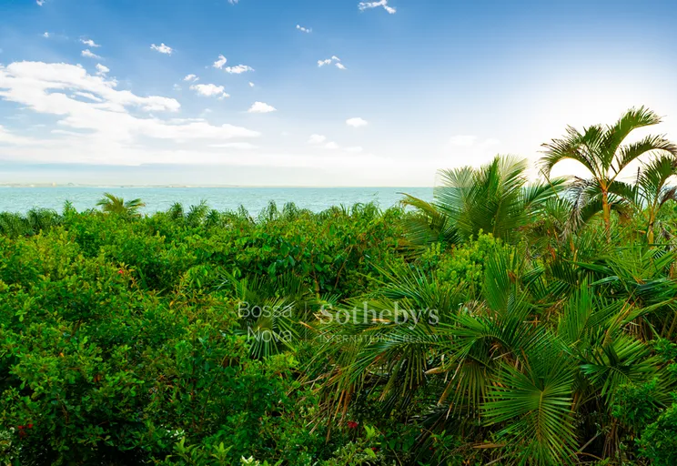 Vista Panorâmica - Imagem 17