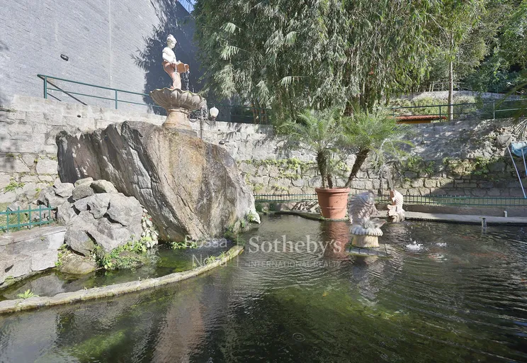 Lago - Imagem 10