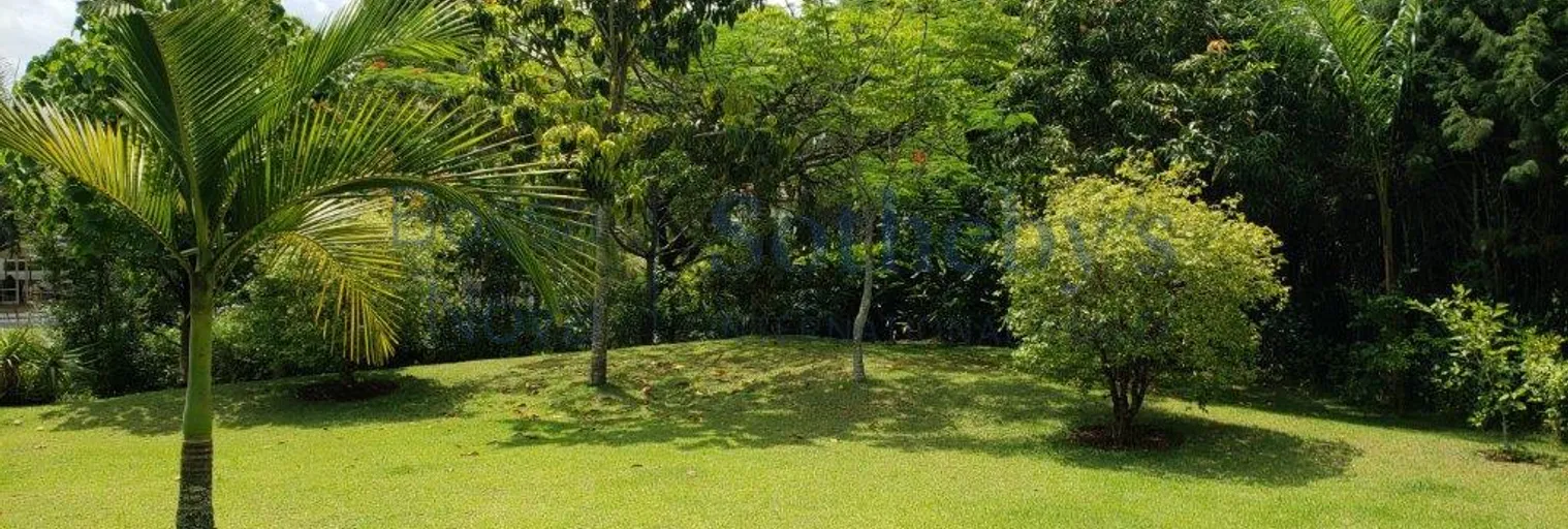 Quintal - Imagem 5