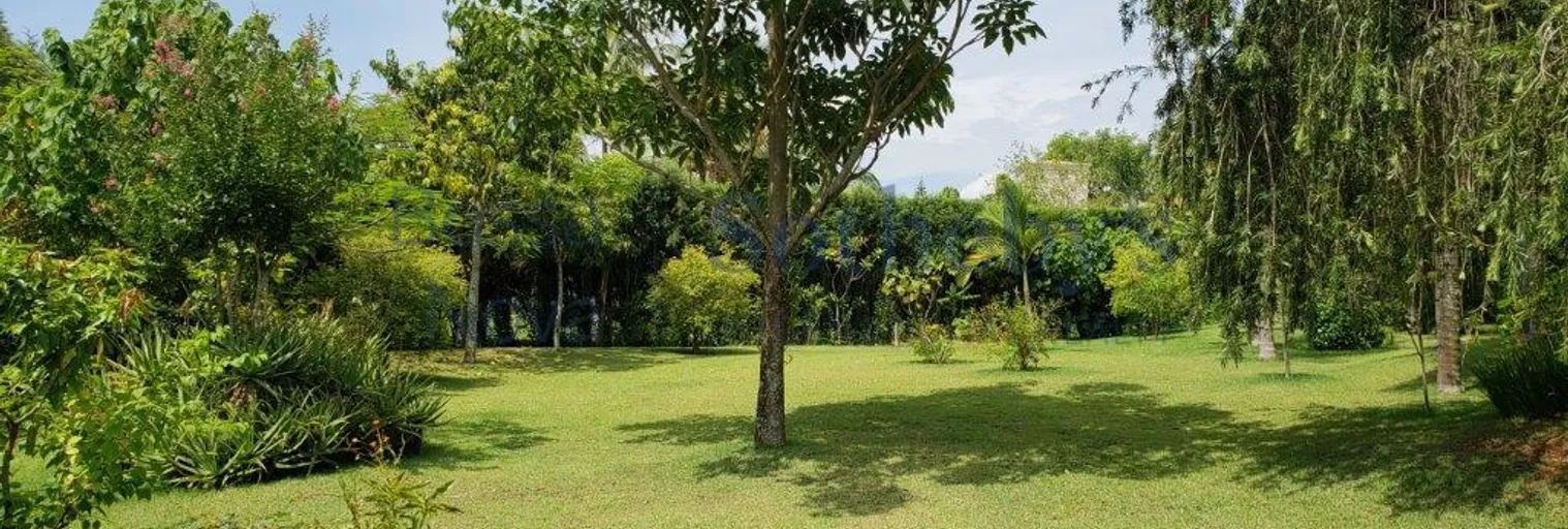 Quintal - Imagem 20