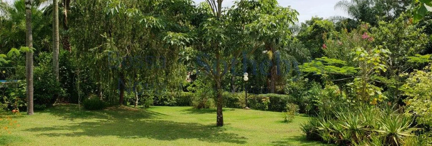 Quintal - Imagem 4