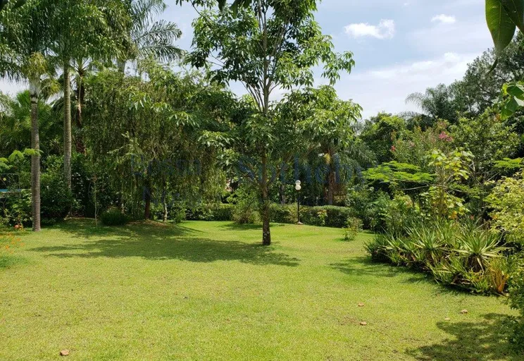 Quintal - Imagem 4