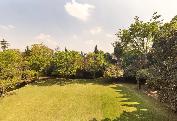 Vista - Imagem 27