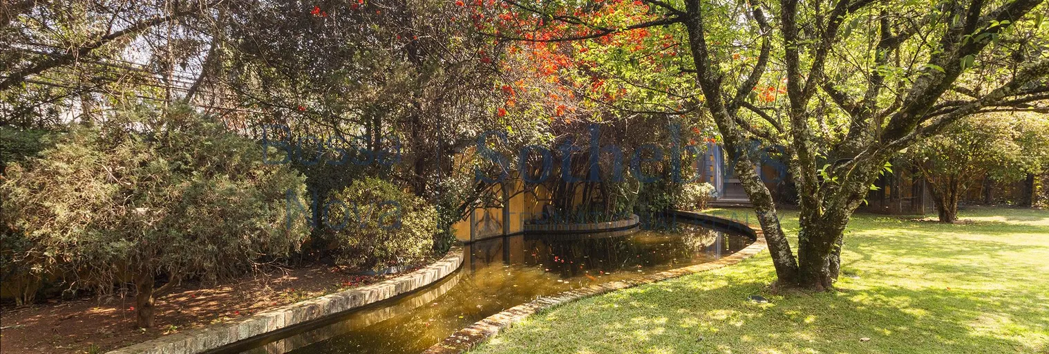 Lago - Imagem 3