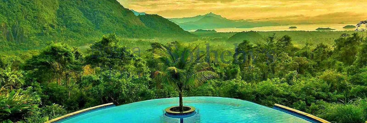 Vista Panorâmica - Imagem 1