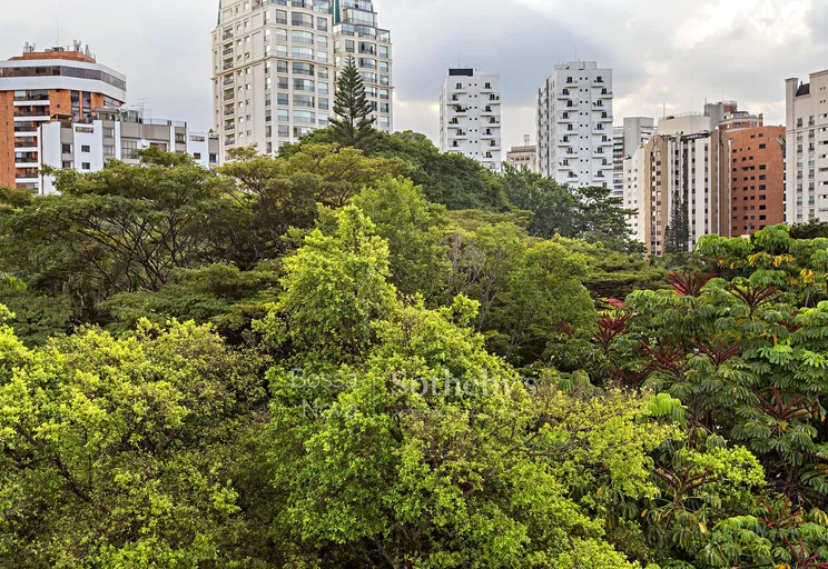 Vista - Imagem 15