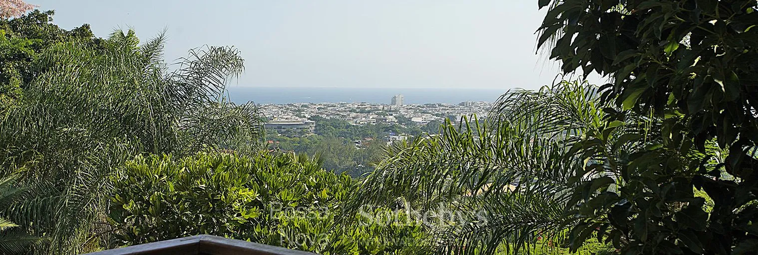 Vista - Imagem 18
